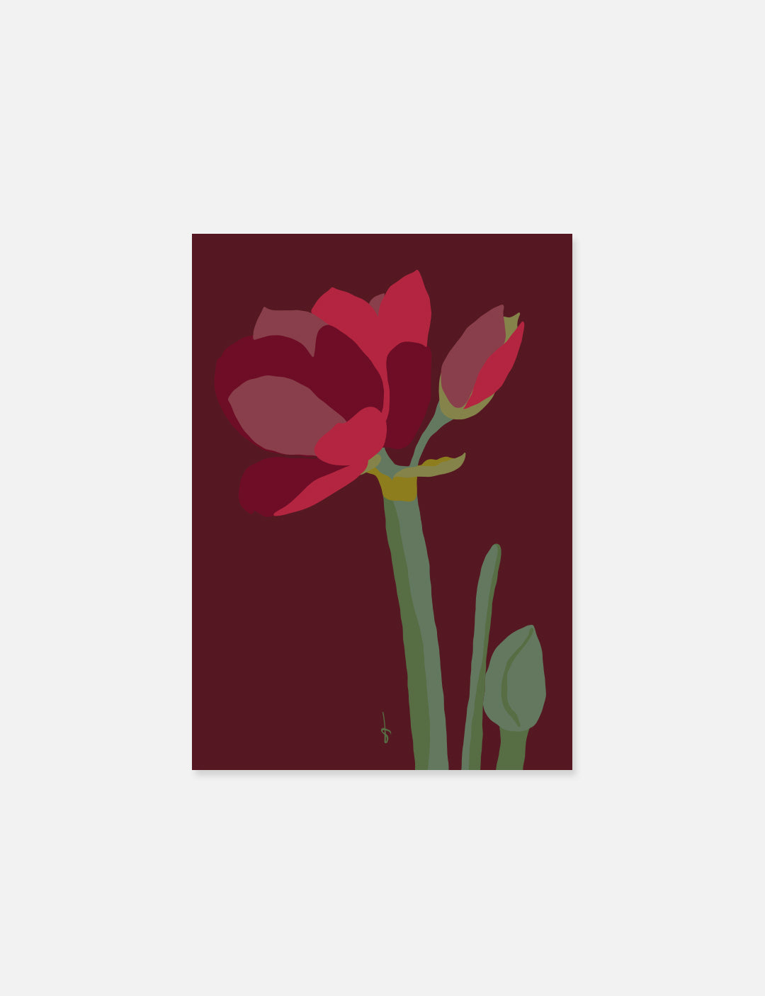 Abstracte Amaryllis poster kerst A4 op stevig papier, vrolijk winterdesign – perfecte kerst poster voor schouw, muur of plank.