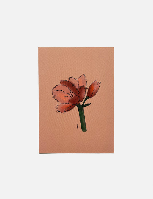 Christelijke kerstkaart A6 met illustratie van een amaryllis in warme roodtinten en Bijbeltekst uit Johannes 3:16, op terracotta achtergrond.