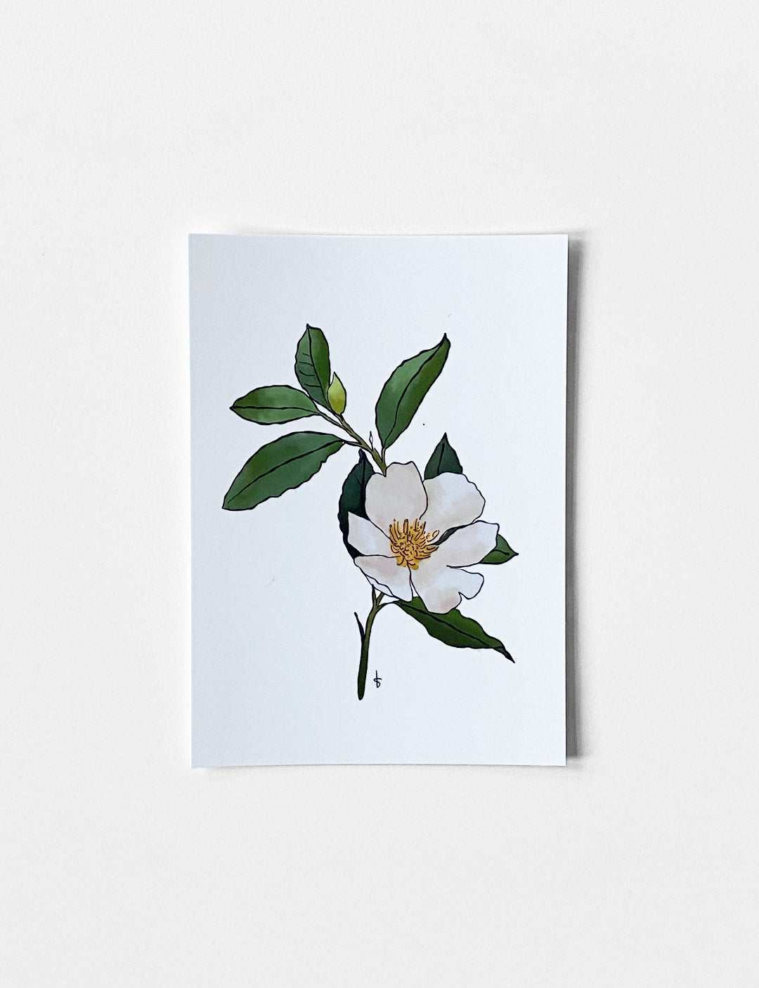 Ansichtkaart (A6) met handgetekende Flower illustratie. Geprint op beschrijfbaar papier en voorzien van soft touch laminaat (mat). Leuk om als wenskaart te versturen of bij een cadeau te geven. Deze handgemaakte kaart maakt onderdeel uit van een kaartenset met leuke ansichtkaarten. Wenskaarten bestellen kun je in onze webshop.