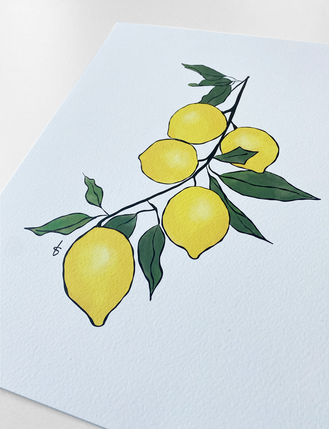 Een gezellige poster keuken met een handgetekende citroentak, geprint op mooi Tintoretto Gesso papier.