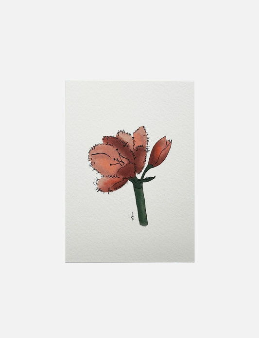 Christelijke kerstkaart A6 met illustratie van een amaryllis in warme roodtinten en Bijbeltekst uit Johannes 3:16.