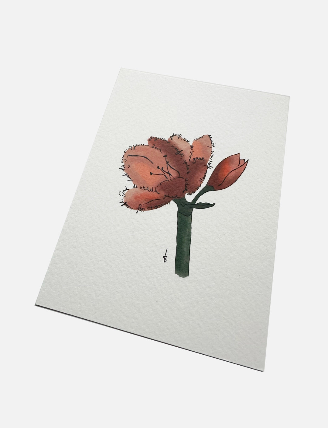 Christelijke kerstkaart met amaryllis, Bijbeltekst en metallic gouden envelop – een stijlvolle en warme kerstgroet.