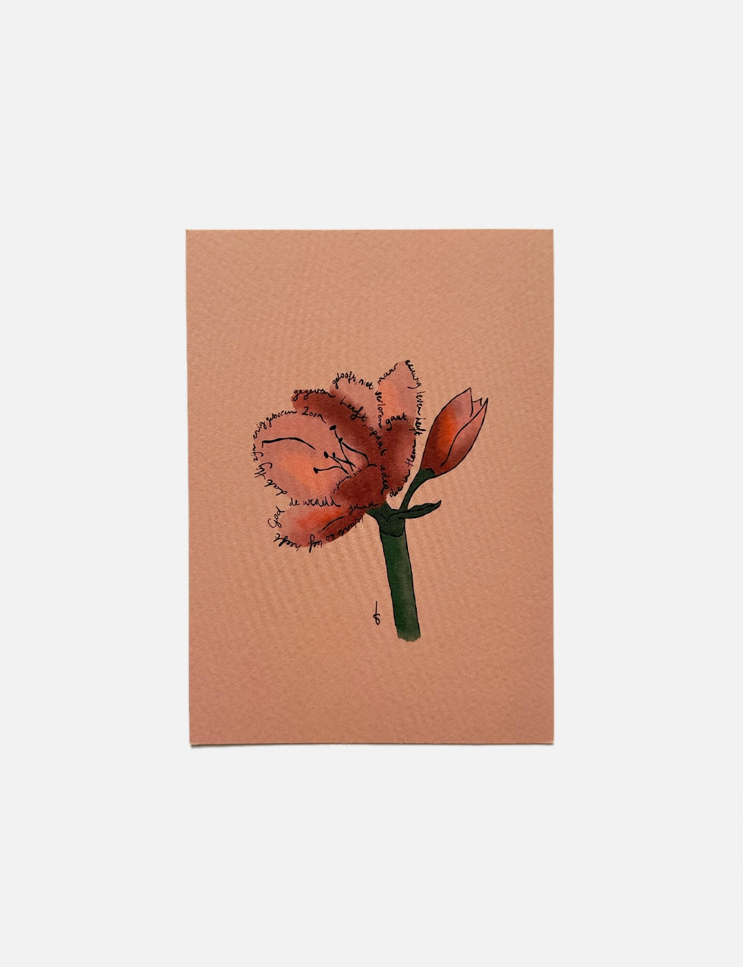 Christelijke kerstkaart A6 met illustratie van een amaryllis in warme roodtinten en Bijbeltekst uit Johannes 3:16, op terracotta achtergrond.